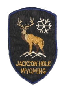 E.  Ski Patch from Jackson Hole, Wyoming - 2 inches x 3 inches = $110